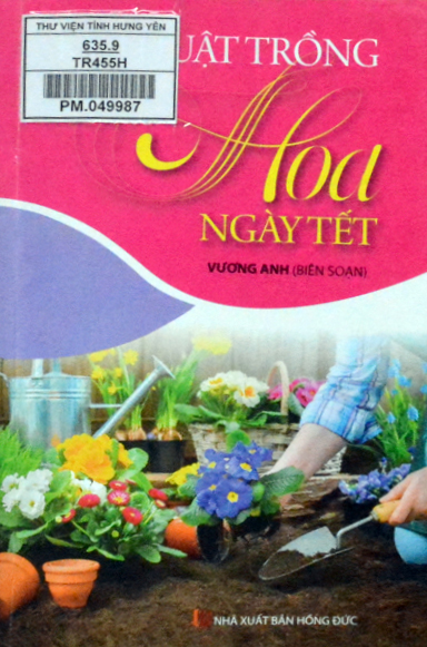 Trồng hoa ngày Tết